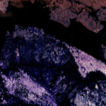 4-©-Marine-Lanier-Le-Jardin-dHannibal-Les-Pierres-1